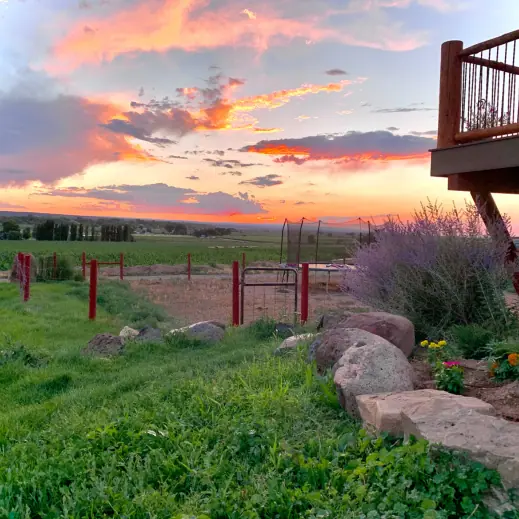 Montrose VRBO - Montrose AirBnB - Country Cabin Exterior