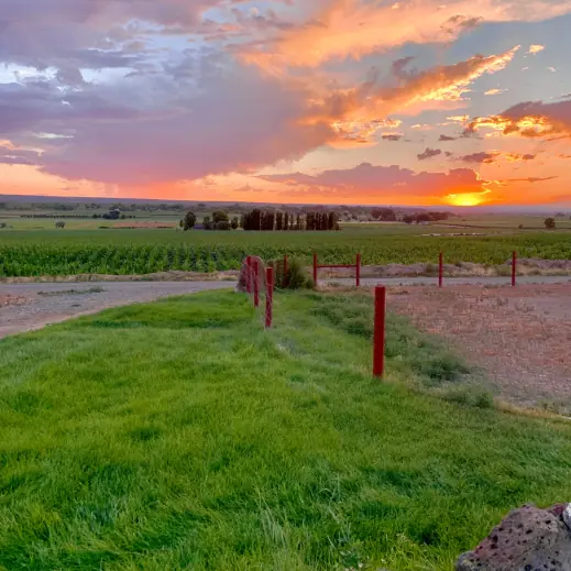 Montrose VRBO - Montrose AirBnB - Country Cabin Exterior