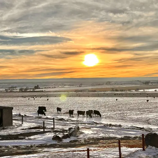 Montrose VRBO - Montrose AirBnB - Country Cabin Exterior